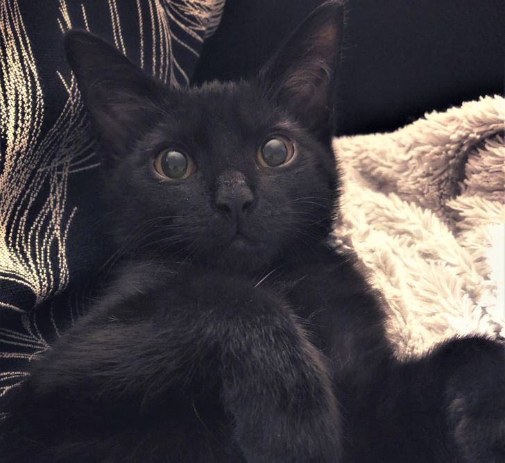 de25e359db91b23f2743de89c1