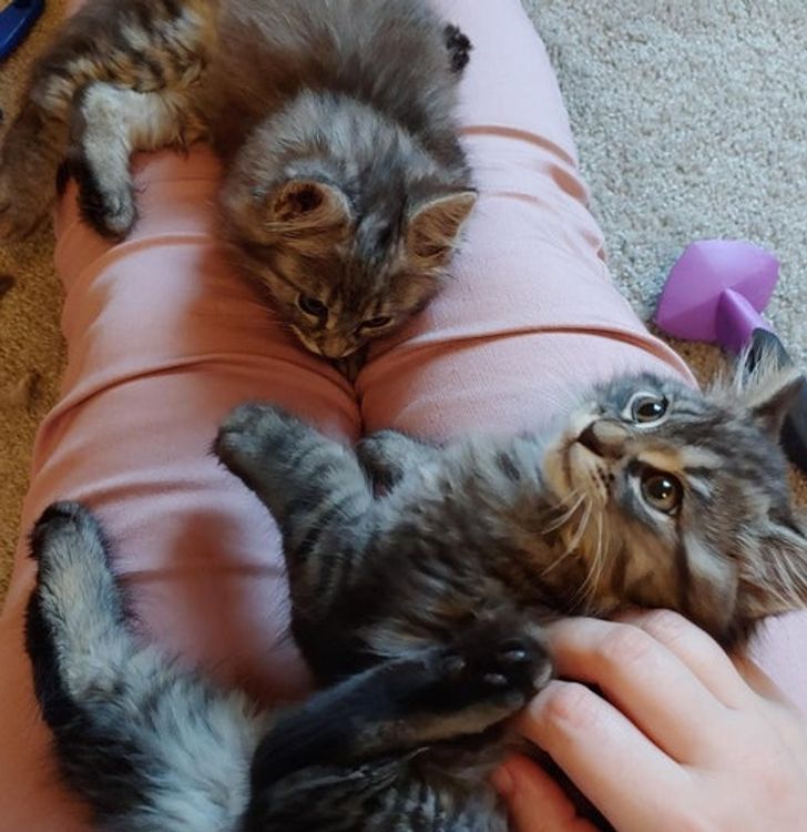 de3181597aab54da4bd0cd5269