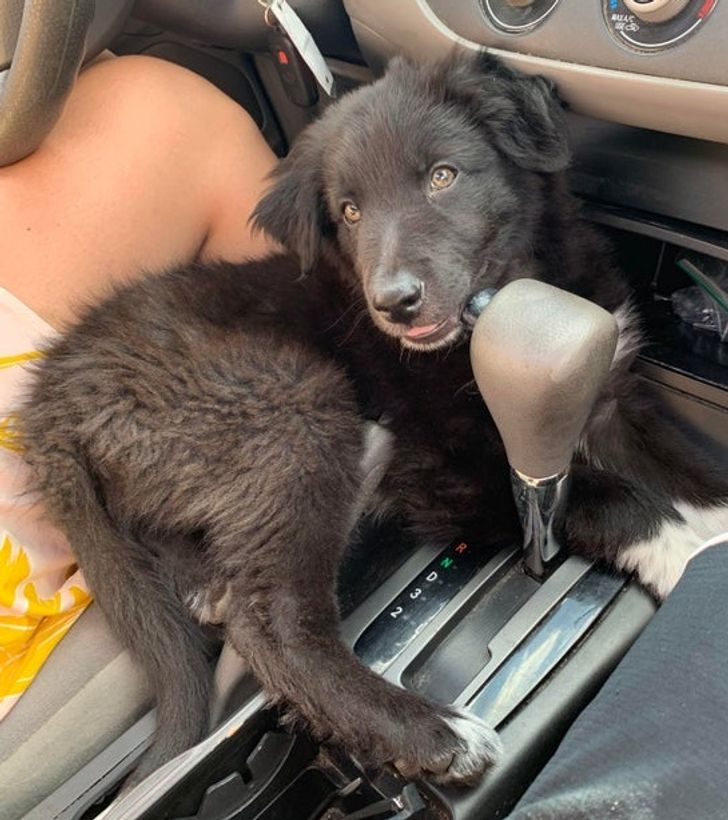 de33615ddb8f3d5aedf024ba6e