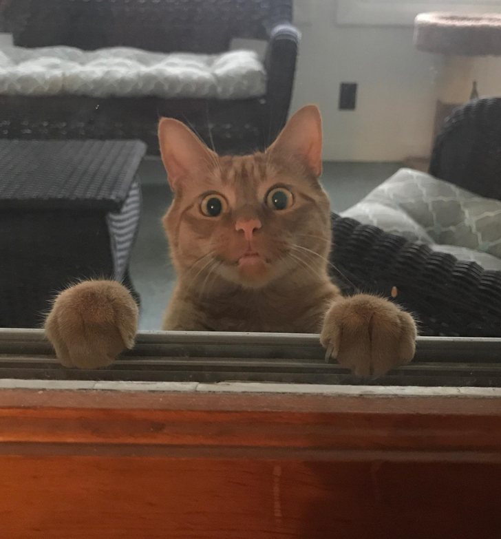 de344451fabadfa846c6d34411