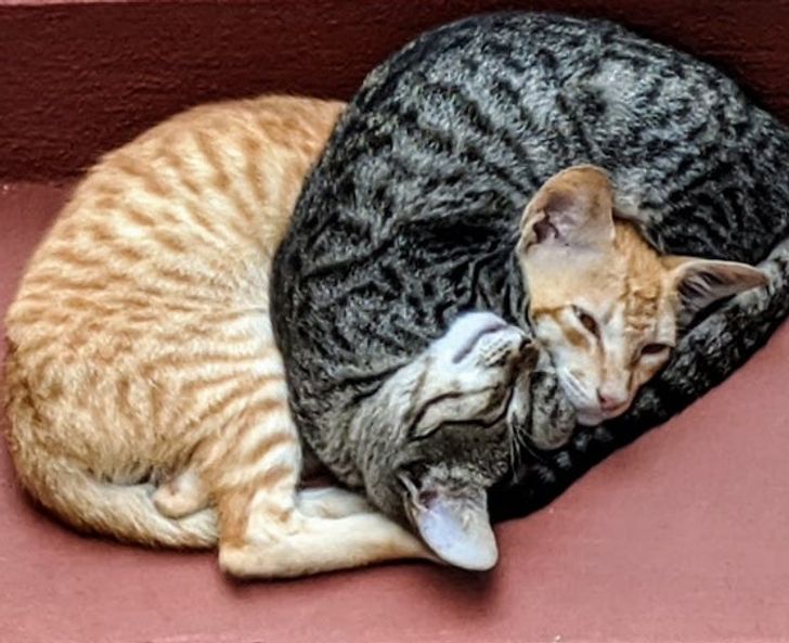 de34c25e01bcb2434e9501edf1