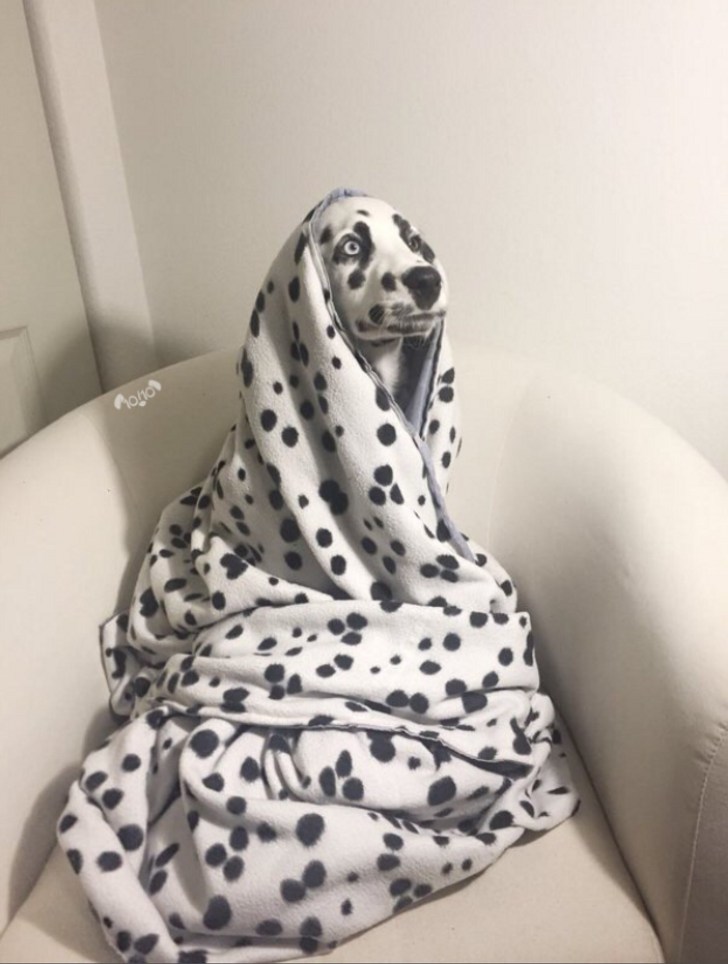 de378e5d0c933ac16542491a51