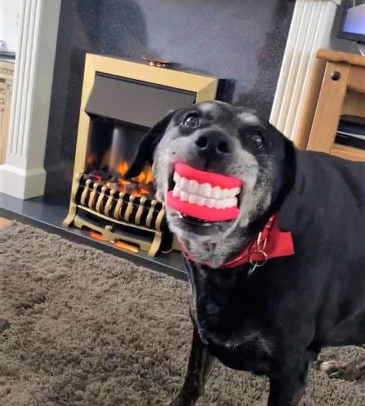 de380d5042871962c9f216d523