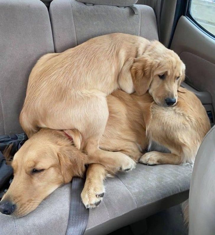 de3ab5522dbfd28fc02bc1bb51