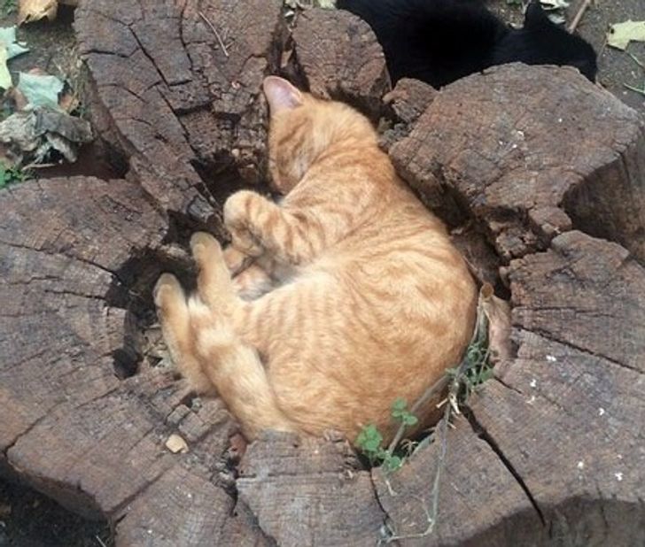 de3e8958dc807c4af27112b6cf