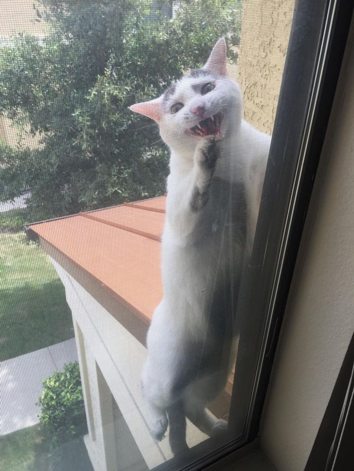 de4ec9571397ce8e5a9bad566b