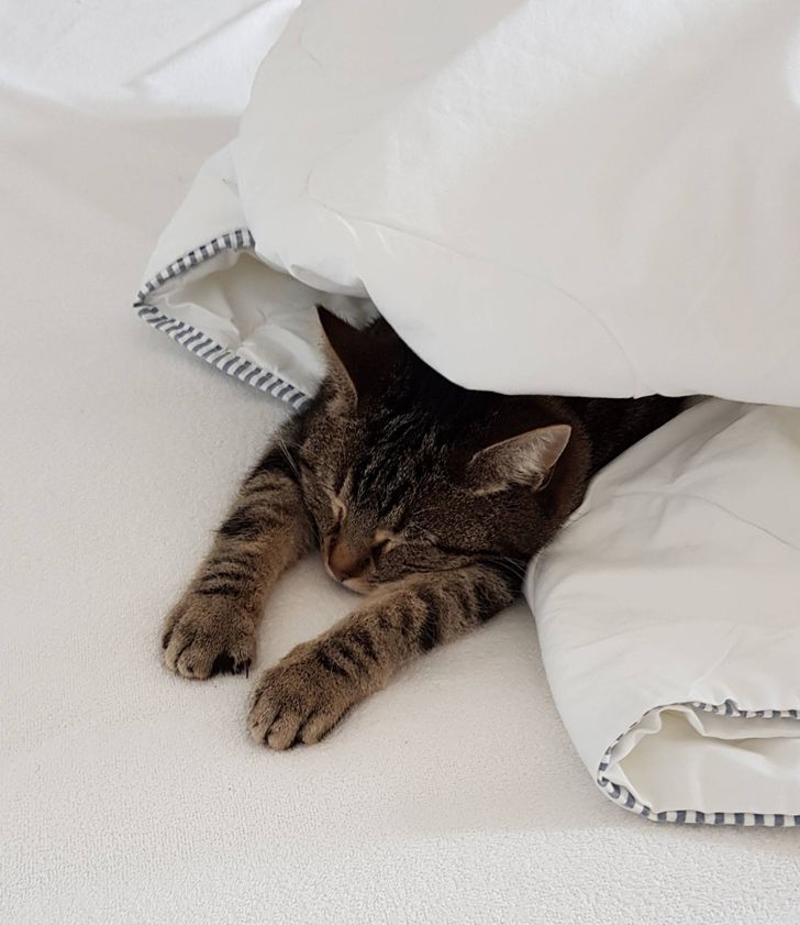 de56595b7ea11f2530cedc7829