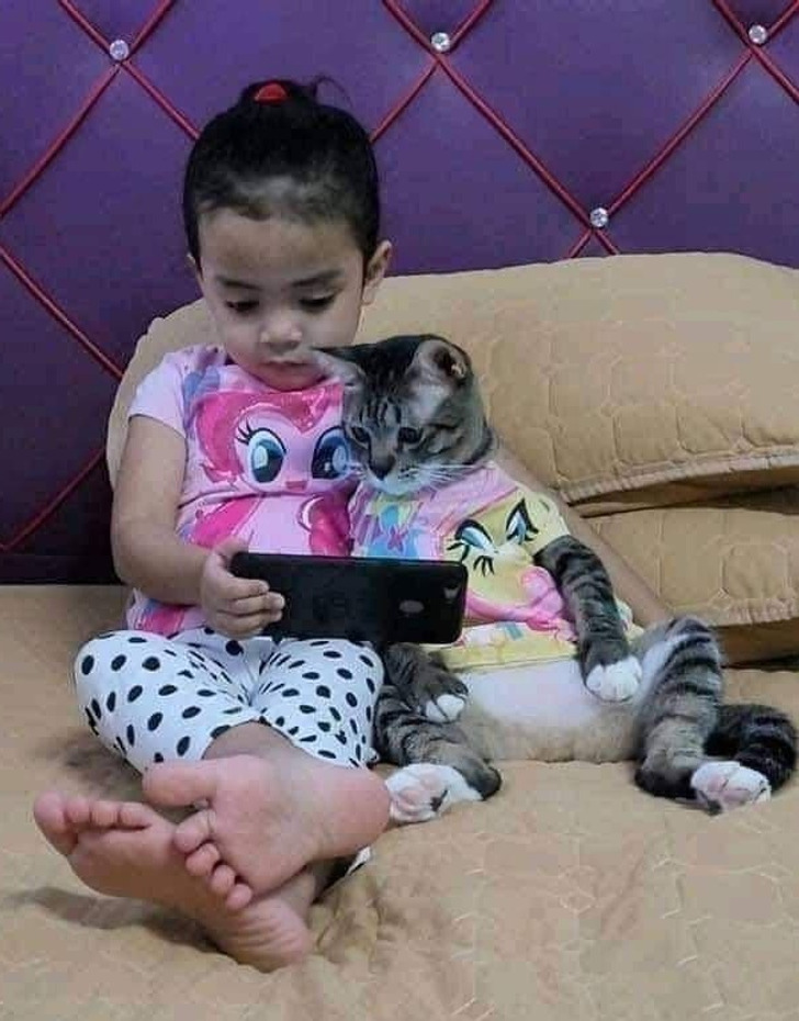 de58ce56dbaf243b6696841a37