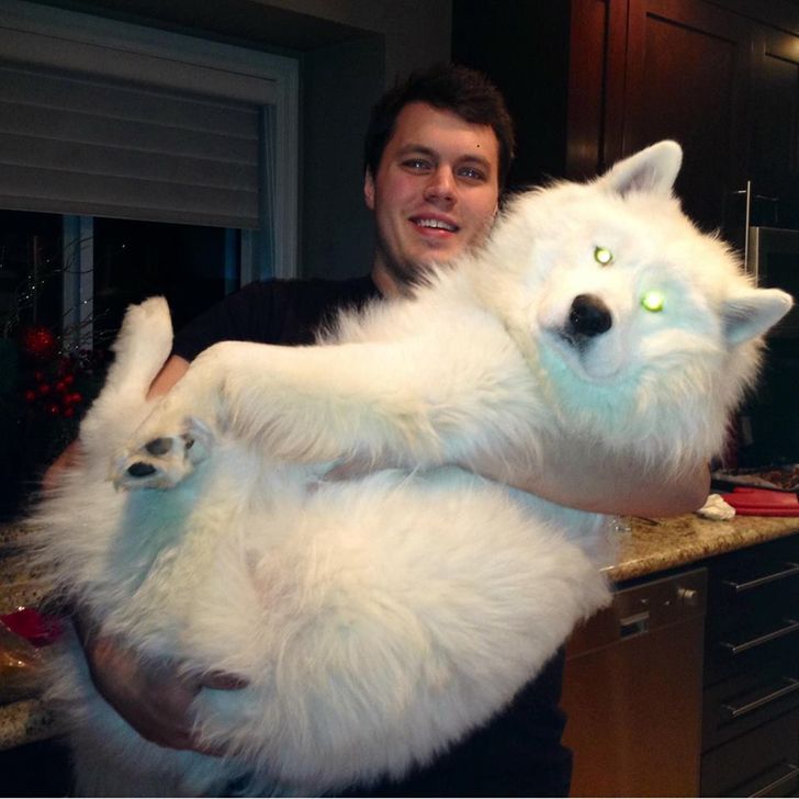 de596e5ad88938c39fde0b3e9c