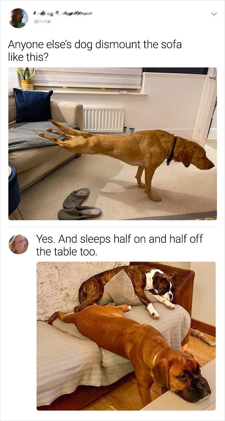 de61435373968e41a42dc573ab de61435373968e41a42dc573ab