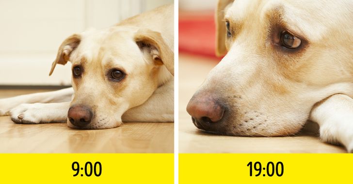 de64615c5b8f38c25445936257