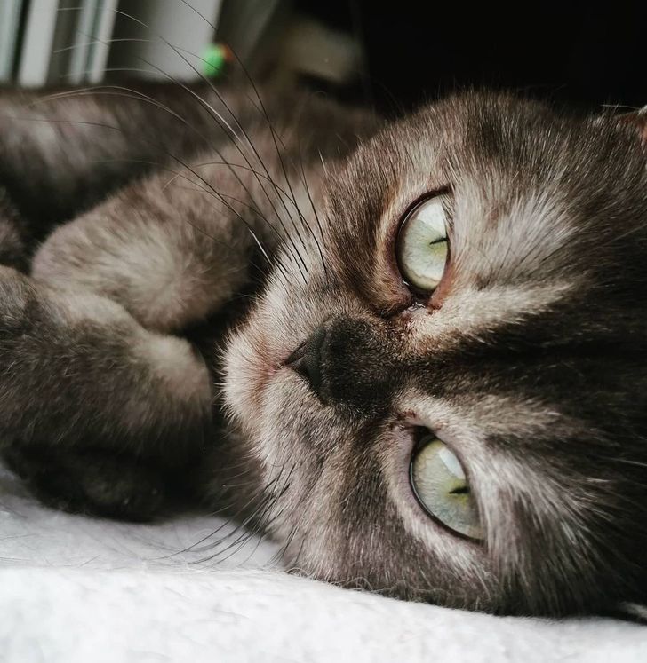 de703b53c6a8c56f3cd221462f