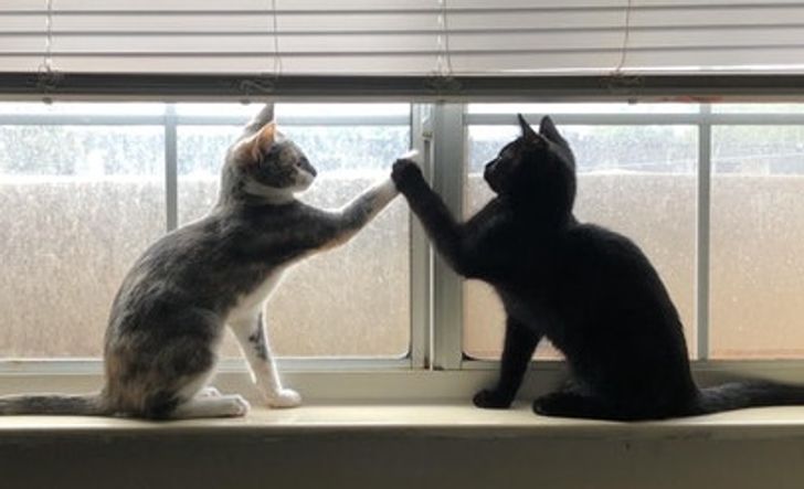 de70ce52fdaf7356b7881ec1b6