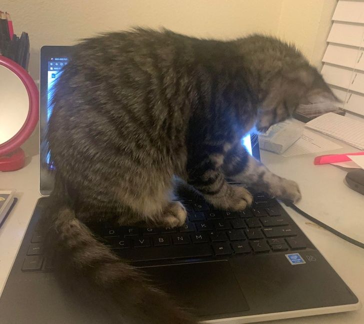 de70e15ac5b03bacc9b771265b