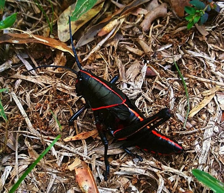 de7d7e5879a321742d46806f59