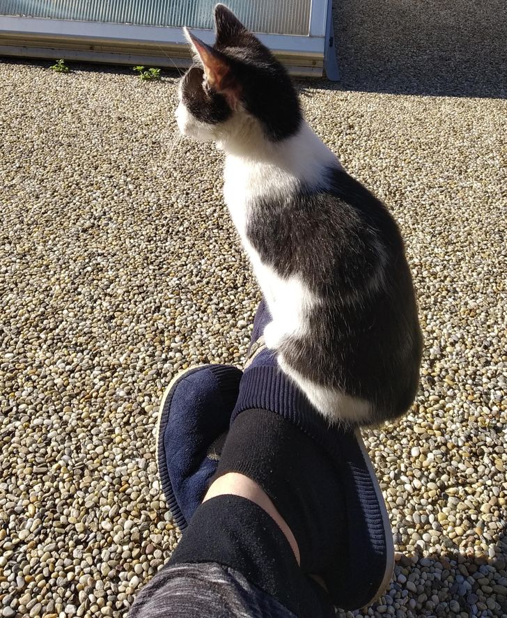 de89dc556c8b8859faf9c12387