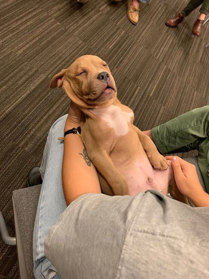 de8b4254e6907321304eaa7bd8