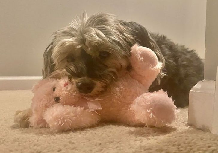 de8c30541dbf4756960067ff41 de8c30541dbf4756960067ff41