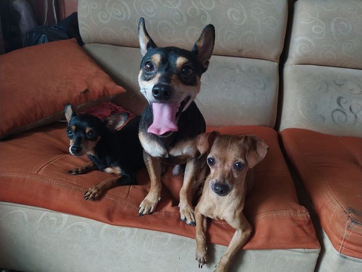 de8e435ff38d3e4971f27a5070