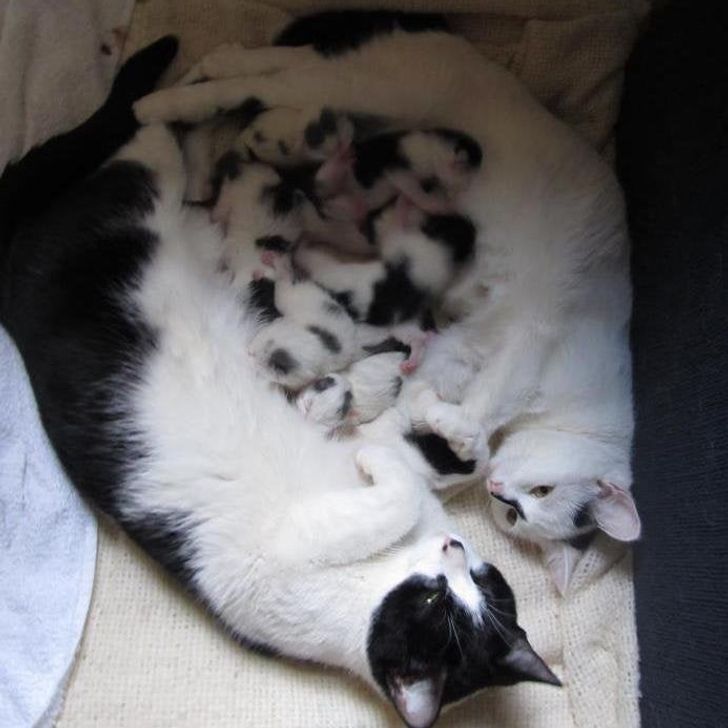 de8e815383a4b917da6f5d0d5b