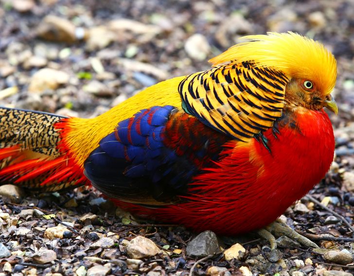 de9b585c789867747c9c50e191