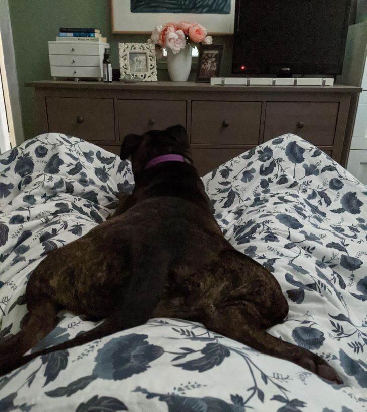 dea23f5862bf3f580898846e73 dea23f5862bf3f580898846e73