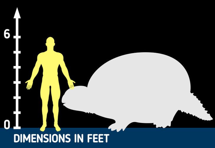 dea3e05666b7bff37409ae19e5