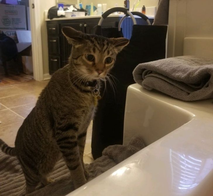 dea72d5912ba519f9dc5c7bed7