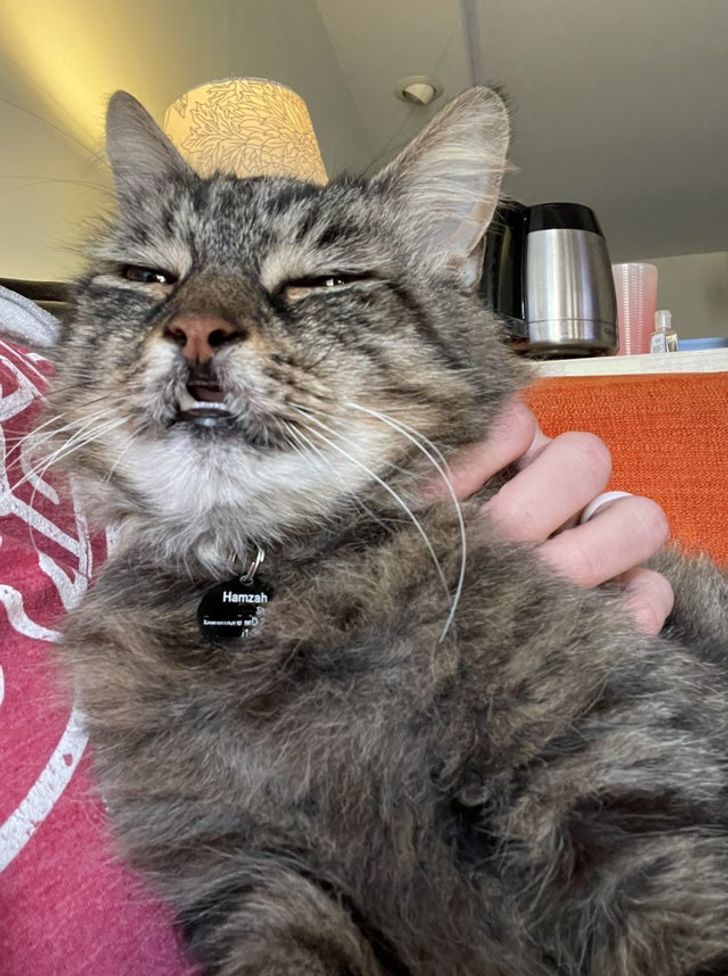 dea87750e19e9d2b5eefc3a539