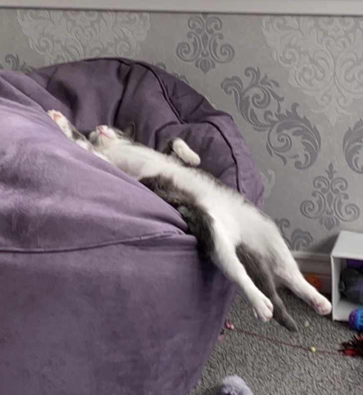 deac765f8da11c982f7953296c