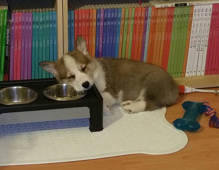 deae7e5fb7bea43f37ee8d9bbc