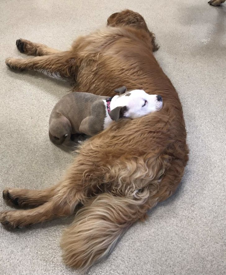 deaff0590ca6bbc07ca6178660