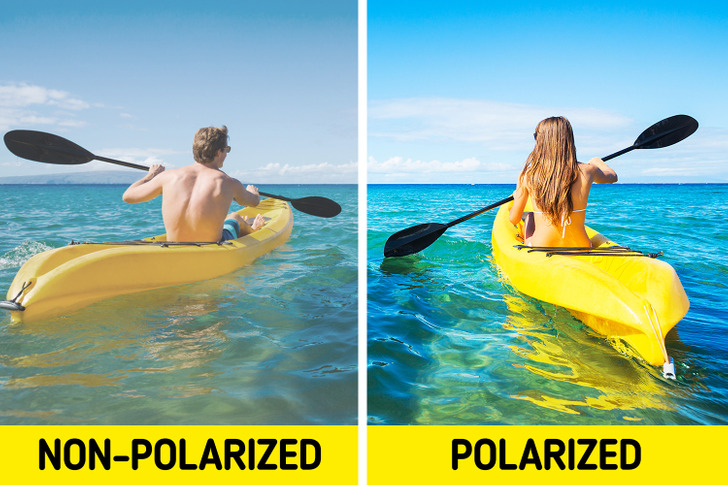 deba4e5174a49dafd1c7a38503