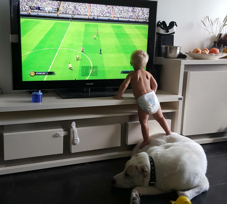 debe3f546fb7fb07a045266bee