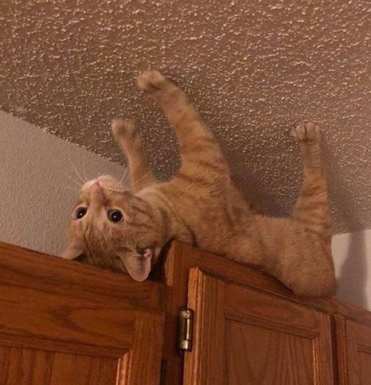 debead57959b2d8322c8de8002