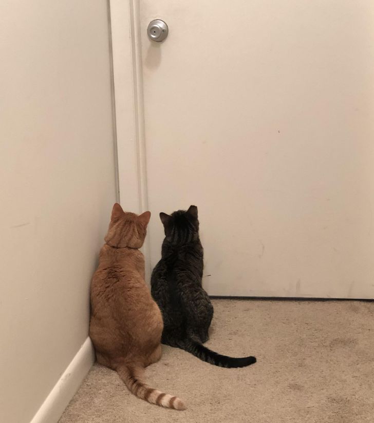 ded0e256caa390dd8957f8c1ac