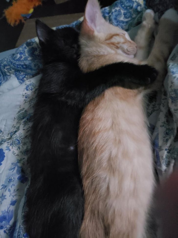 dee14c527fa0454e5496567880