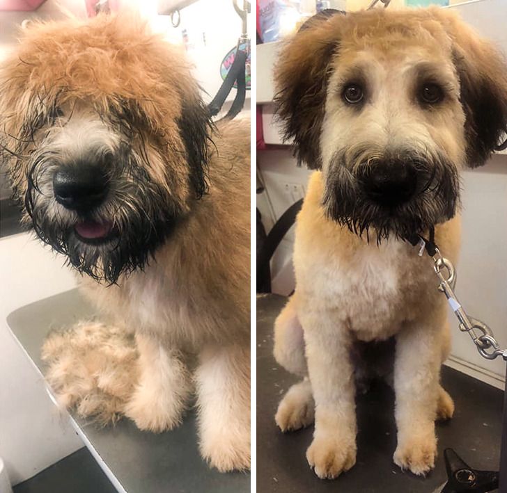 dee1f75f49bd33ac7b0e30a068