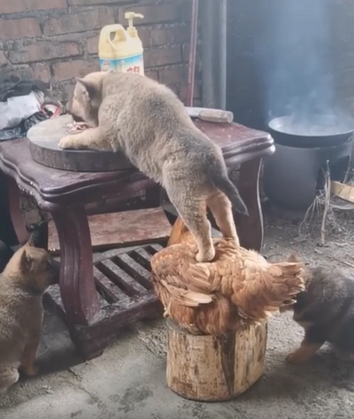 deef7158e3bcfd5d04d5fe2597