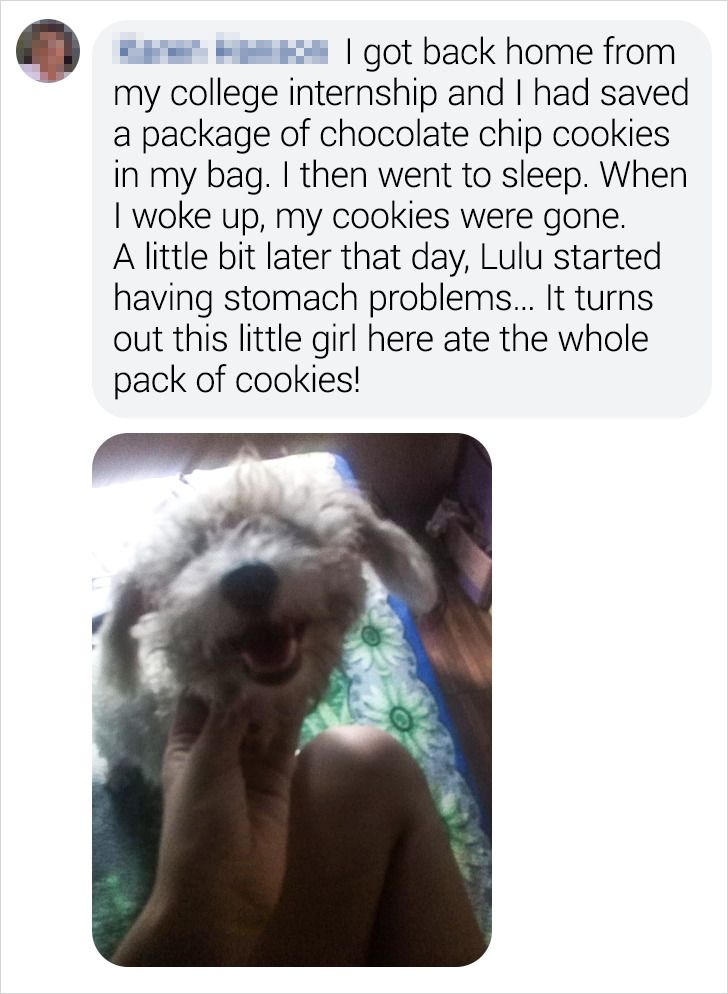 def15d5603b8bbec18957d0e9a