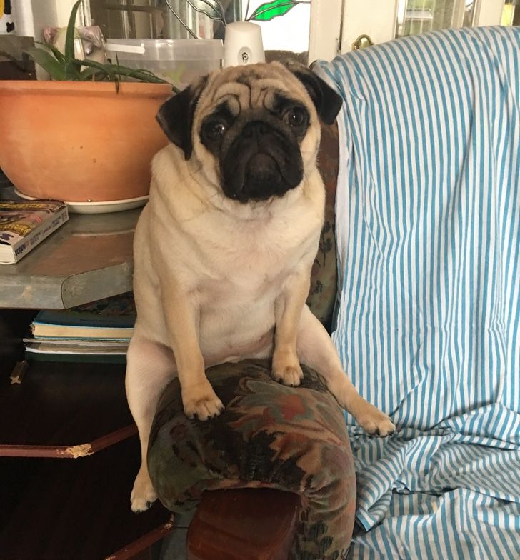 def35e5f109a42bd63c39a4eed