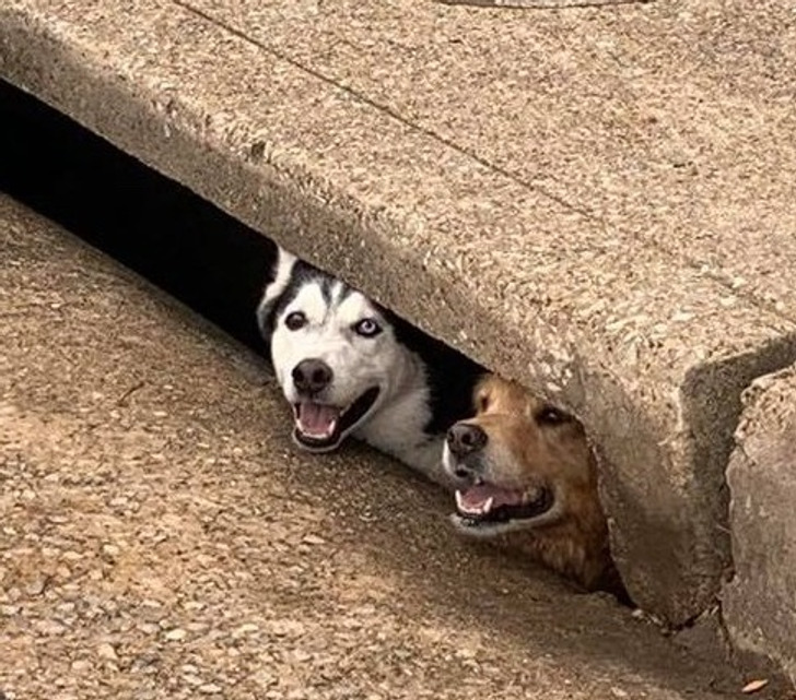 defe8459589461fe042c28f539