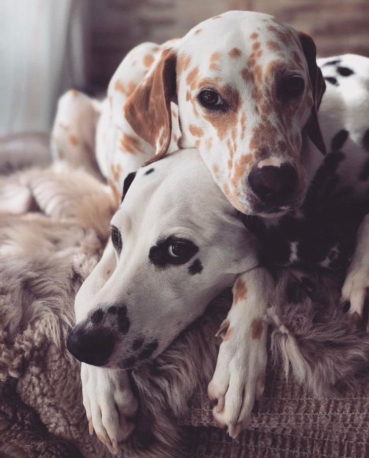 df00f05ab0af83f648ac8b4025