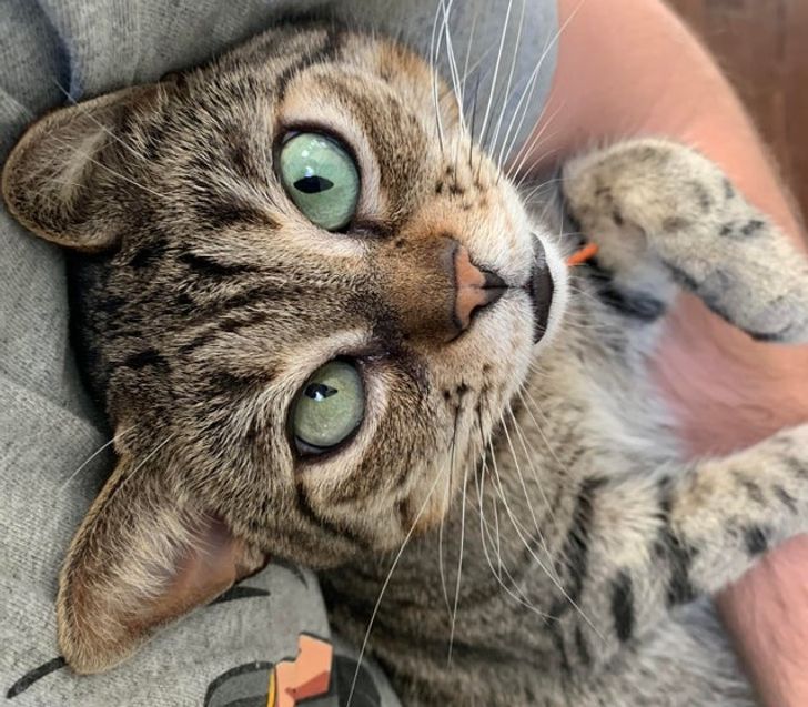 df01505c7f94f87f01779588ae