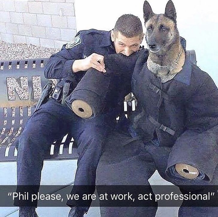 df07595a45b8f81b26918d7cae