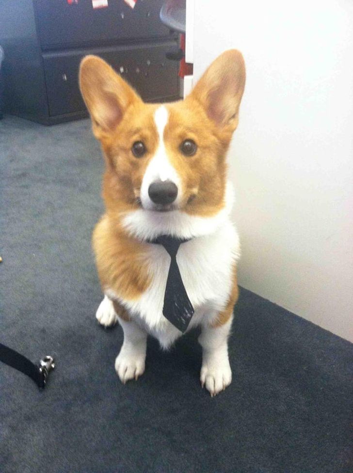 df0d94563bab2381622b1841a0