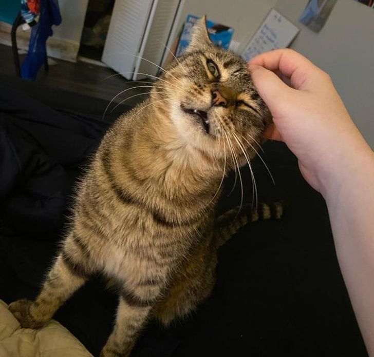 df108059179c6494dfcc30a81c