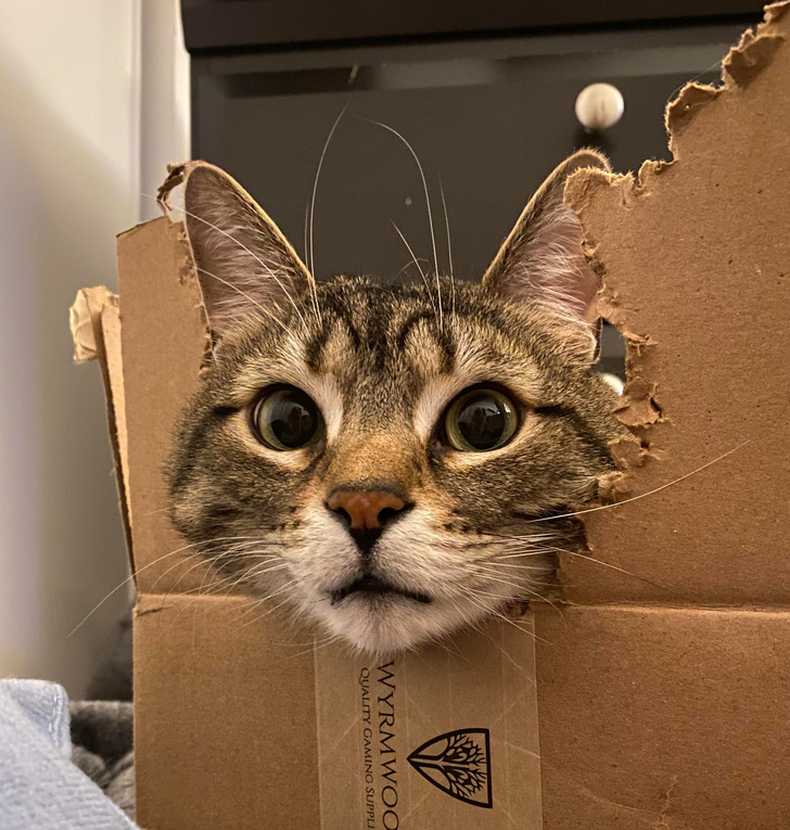 df12ca5d42a04097e6aee98708