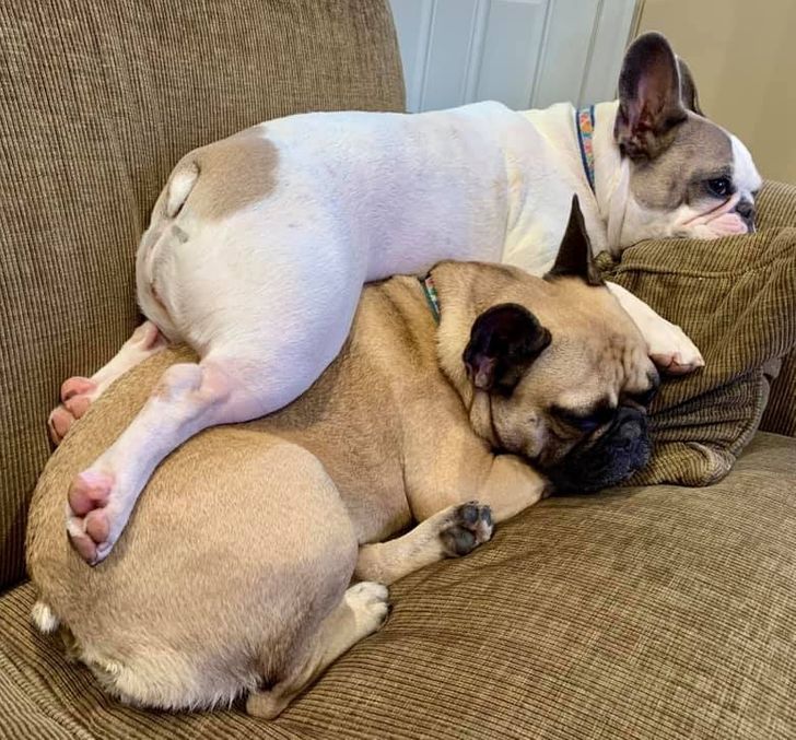 df1627507d883360188d4d6a67