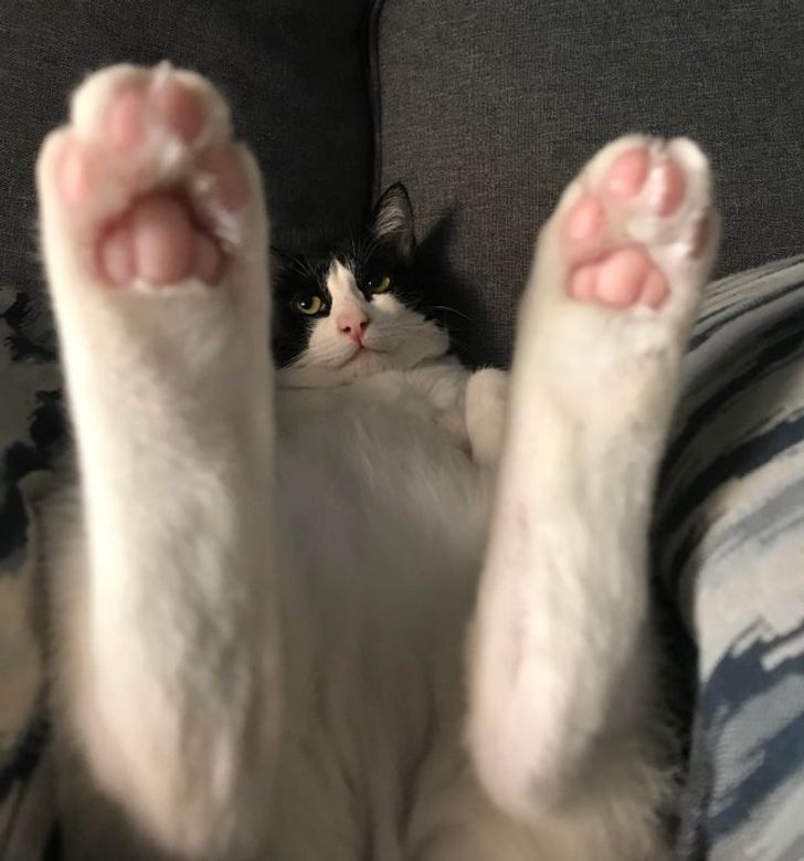 df196c519690363cc7fda05233